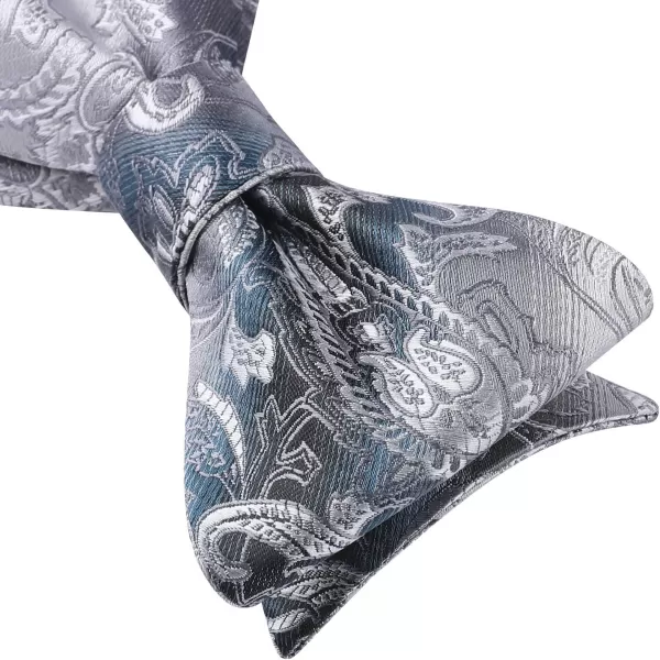 HISDERN Bow Ties for Men Paisley Bowties Mens Self Tie Bow Tie and Pocket Square Set Formal Tuxedo Wedding Bowtie