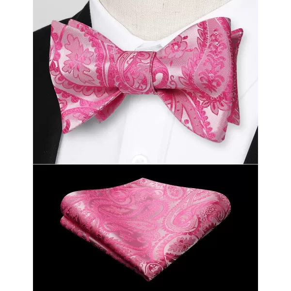 HISDERN Bow Ties for Men Paisley Bowties Mens Self Tie Bow Tie and Pocket Square Set Formal Tuxedo Wedding Bowtie