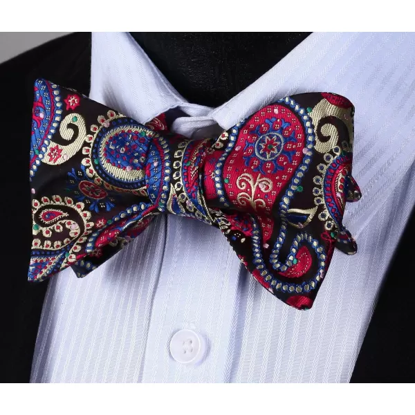 HISDERN Bow Ties for Men Paisley Bowties Mens Self Tie Bow Tie and Pocket Square Set Formal Tuxedo Wedding Bowtie