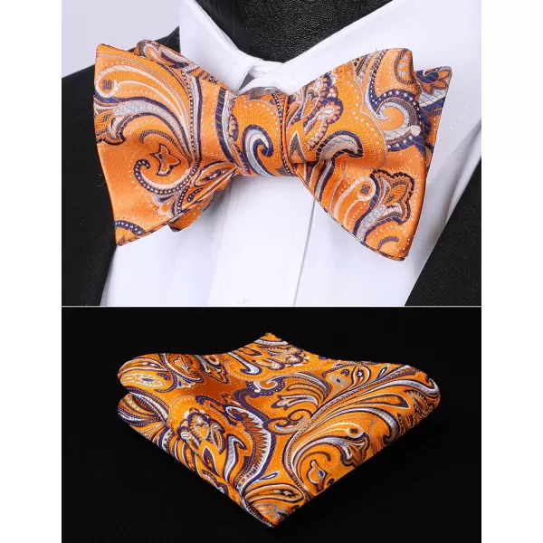 HISDERN Bow Ties for Men Paisley Bowties Mens Self Tie Bow Tie and Pocket Square Set Formal Tuxedo Wedding Bowtie
