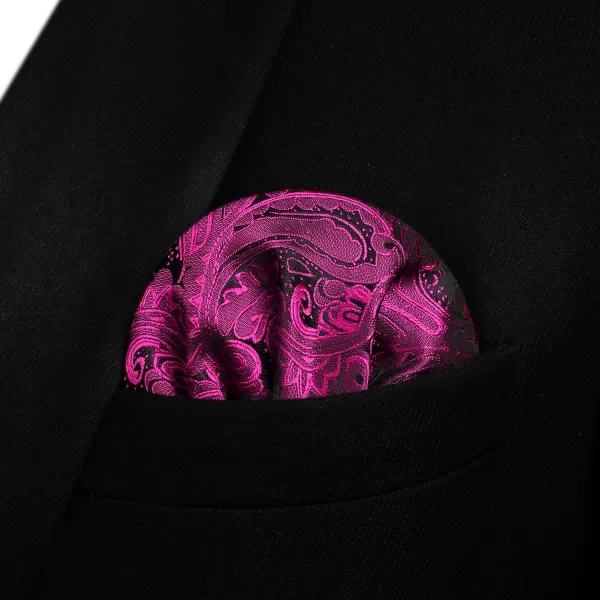 HISDERN Bow Ties for Men Paisley Bowties Mens Self Tie Bow Tie and Pocket Square Set Formal Tuxedo Wedding Bowtie