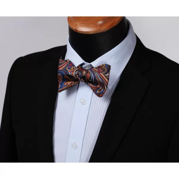 HISDERN Bow Ties for Men Paisley Bowties Mens Self Tie Bow Tie and Pocket Square Set Formal Tuxedo Wedding Bowtie