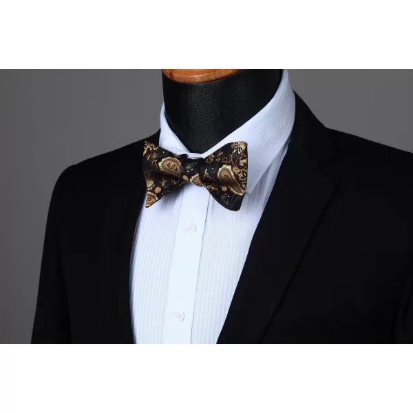 HISDERN Bow Ties for Men Paisley Bowties Mens Self Tie Bow Tie and Pocket Square Set Formal Tuxedo Wedding Bowtie
