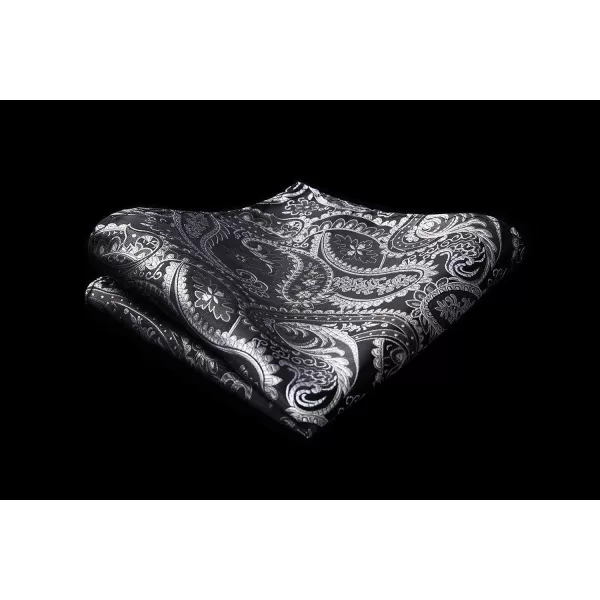 HISDERN Bow Ties for Men Paisley Bowties Mens Self Tie Bow Tie and Pocket Square Set Formal Tuxedo Wedding Bowtie