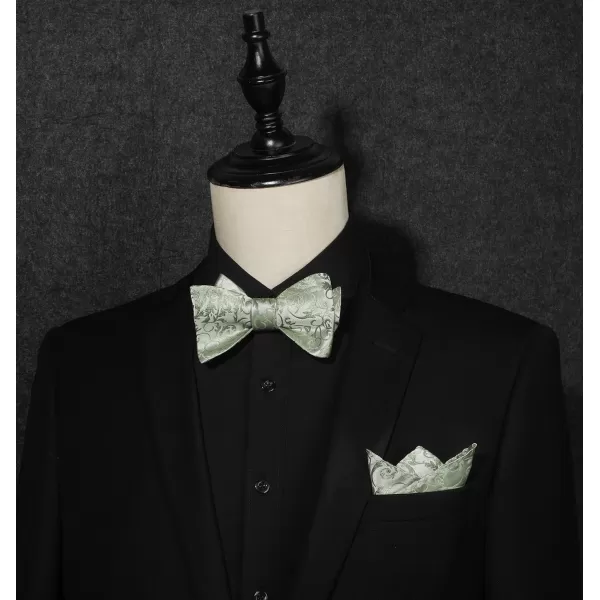 HISDERN Bow Ties for Men Paisley Bowties Mens Self Tie Bow Tie and Pocket Square Set Formal Tuxedo Wedding Bowtie