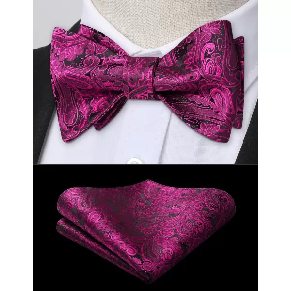 HISDERN Bow Ties for Men Paisley Bowties Mens Self Tie Bow Tie and Pocket Square Set Formal Tuxedo Wedding Bowtie