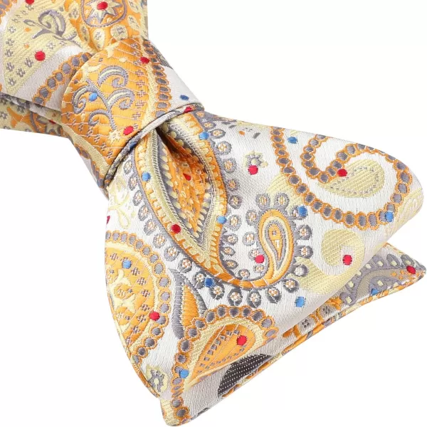 HISDERN Bow Ties for Men Paisley Bowties Mens Self Tie Bow Tie and Pocket Square Set Formal Tuxedo Wedding Bowtie
