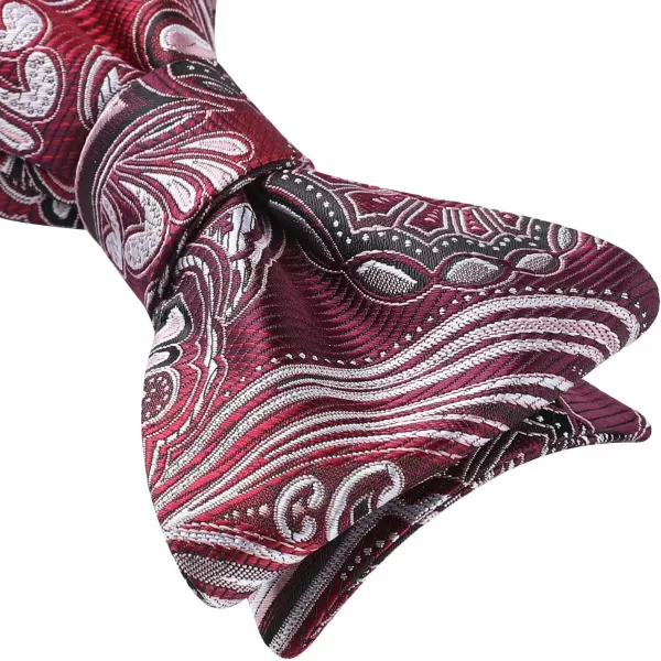 HISDERN Bow Ties for Men Paisley Bowties Mens Self Tie Bow Tie and Pocket Square Set Formal Tuxedo Wedding Bowtie