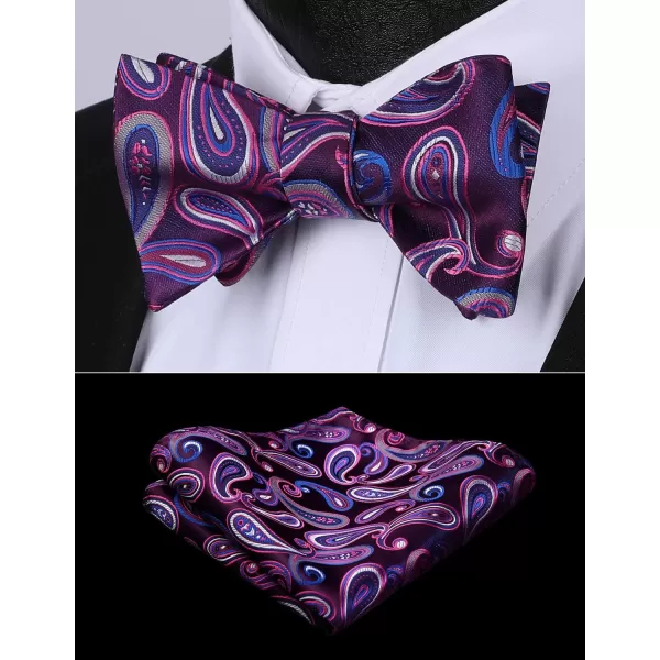 HISDERN Bow Ties for Men Paisley Bowties Mens Self Tie Bow Tie and Pocket Square Set Formal Tuxedo Wedding Bowtie