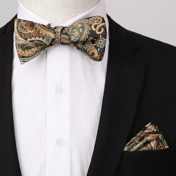 HISDERN Bow Ties for Men Paisley Bowties Mens Self Tie Bow Tie and Pocket Square Set Formal Tuxedo Wedding Bowtie