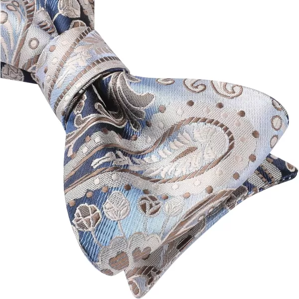 HISDERN Bow Ties for Men Paisley Bowties Mens Self Tie Bow Tie and Pocket Square Set Formal Tuxedo Wedding Bowtie