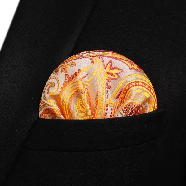 HISDERN Bow Ties for Men Paisley Bowties Mens Self Tie Bow Tie and Pocket Square Set Formal Tuxedo Wedding Bowtie