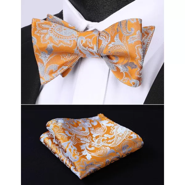 HISDERN Bow Ties for Men Paisley Bowties Mens Self Tie Bow Tie and Pocket Square Set Formal Tuxedo Wedding Bowtie