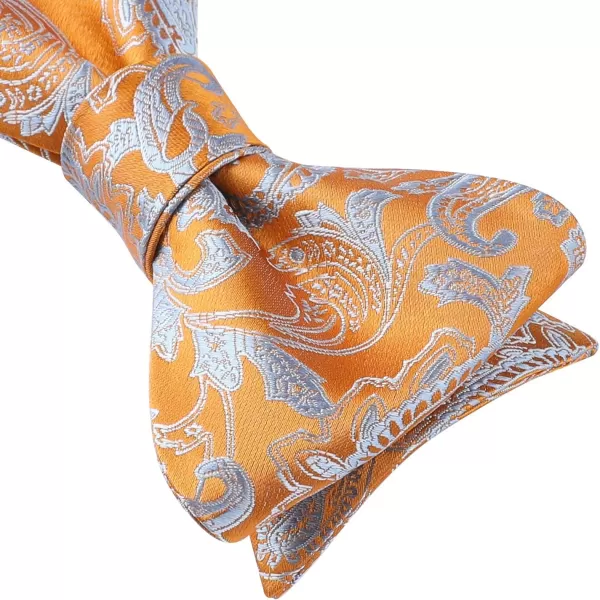 HISDERN Bow Ties for Men Paisley Bowties Mens Self Tie Bow Tie and Pocket Square Set Formal Tuxedo Wedding Bowtie