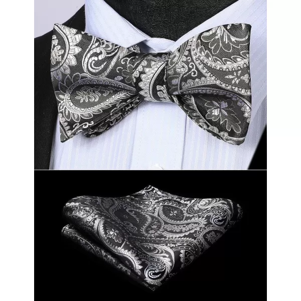 HISDERN Bow Ties for Men Paisley Bowties Mens Self Tie Bow Tie and Pocket Square Set Formal Tuxedo Wedding Bowtie
