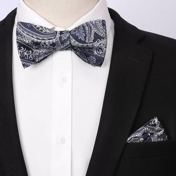 HISDERN Bow Ties for Men Paisley Bowties Mens Self Tie Bow Tie and Pocket Square Set Formal Tuxedo Wedding Bowtie