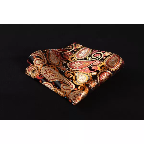 HISDERN Bow Ties for Men Paisley Bowties Mens Self Tie Bow Tie and Pocket Square Set Formal Tuxedo Wedding Bowtie