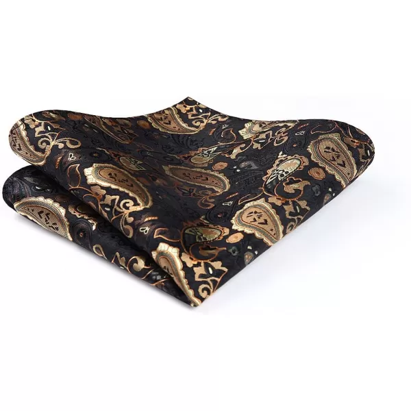 HISDERN Bow Ties for Men Paisley Bowties Mens Self Tie Bow Tie and Pocket Square Set Formal Tuxedo Wedding Bowtie
