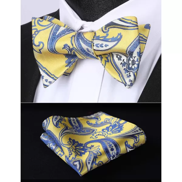 HISDERN Bow Ties for Men Paisley Bowties Mens Self Tie Bow Tie and Pocket Square Set Formal Tuxedo Wedding Bowtie