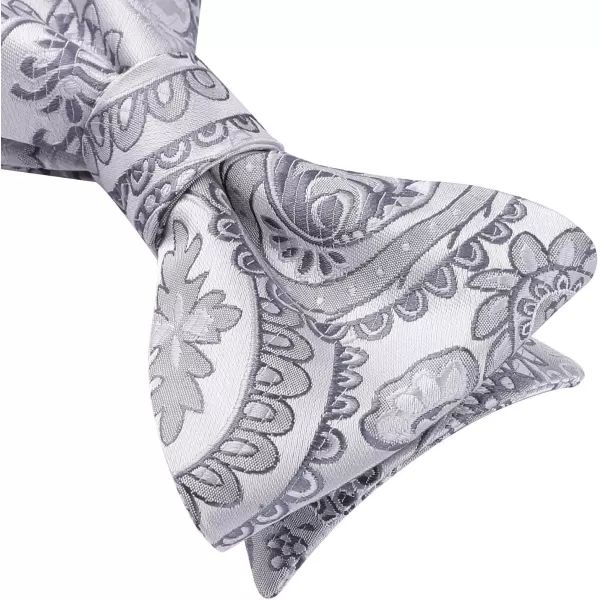 HISDERN Bow Ties for Men Paisley Bowties Mens Self Tie Bow Tie and Pocket Square Set Formal Tuxedo Wedding Bowtie