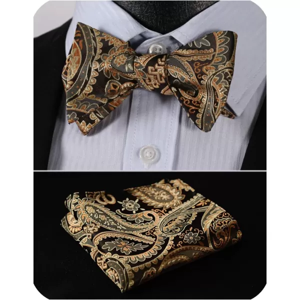 HISDERN Bow Ties for Men Paisley Bowties Mens Self Tie Bow Tie and Pocket Square Set Formal Tuxedo Wedding Bowtie