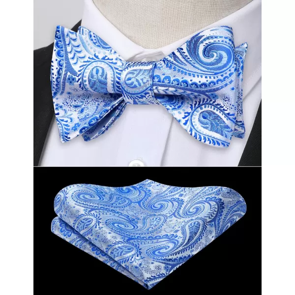 HISDERN Bow Ties for Men Paisley Bowties Mens Self Tie Bow Tie and Pocket Square Set Formal Tuxedo Wedding Bowtie
