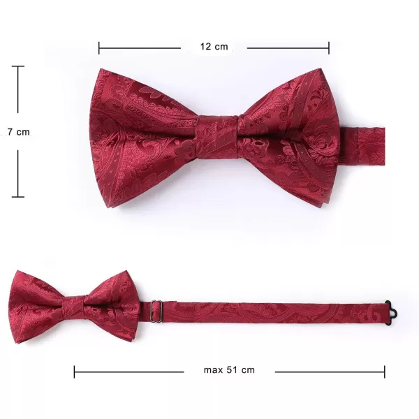 HISDERN Bow Ties for Men Paisley Floral Pre-tied Bowtie Pocket Square Set Men's Formal Bow Ties Wedding Party…