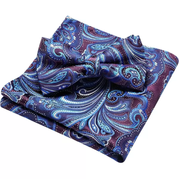 HISDERN Bow Ties for Men Paisley Floral Pre-tied Bowtie Pocket Square Set Men's Formal Bow Ties Wedding Party…