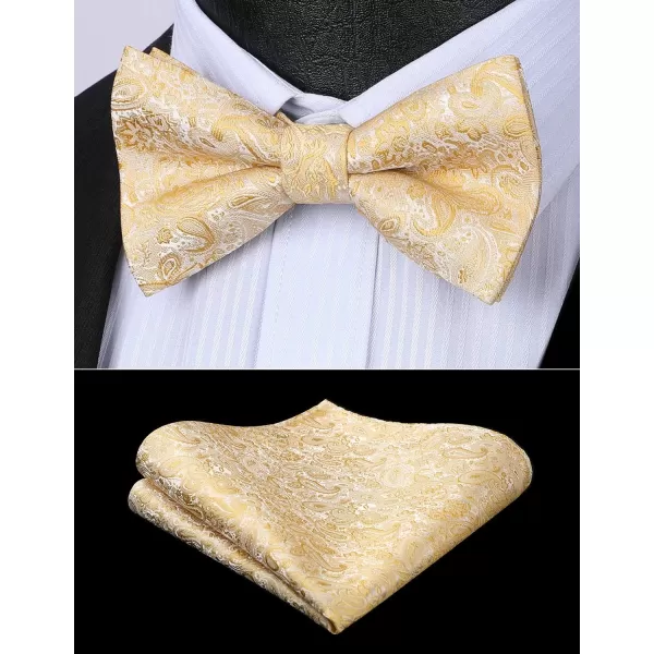 HISDERN Bow Ties for Men Paisley Floral Pre-tied Bowtie Pocket Square Set Men's Formal Bow Ties Wedding Party…