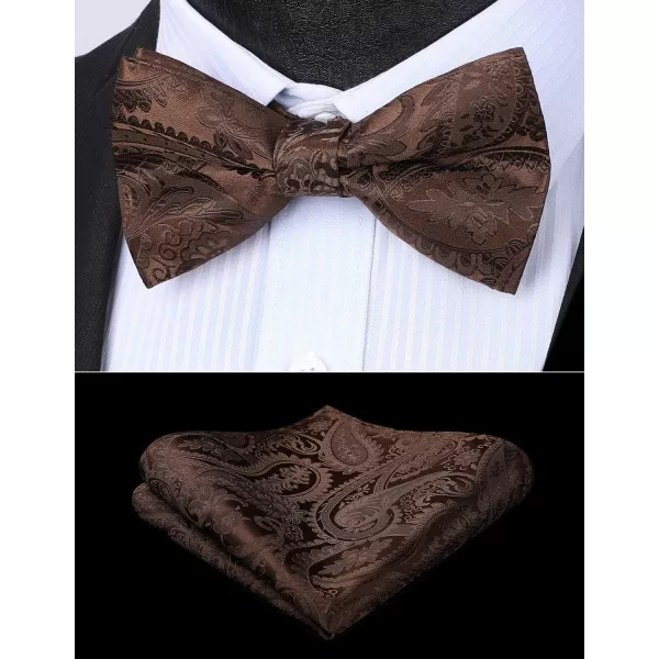 HISDERN Bow Ties for Men Paisley Floral Pre-tied Bowtie Pocket Square Set Men's Formal Bow Ties Wedding Party…