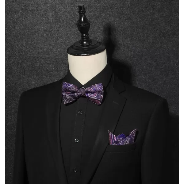 HISDERN Bow Ties for Men Paisley Floral Pre-tied Bowtie Pocket Square Set Men's Formal Bow Ties Wedding Party…