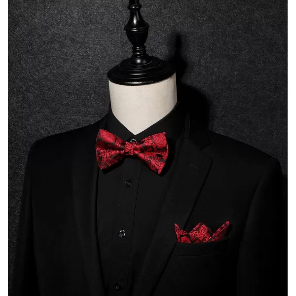 HISDERN Bow Ties for Men Paisley Floral Pre-tied Bowtie Pocket Square Set Men's Formal Bow Ties Wedding Party…