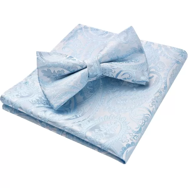 HISDERN Bow Ties for Men Paisley Floral Pre-tied Bowtie Pocket Square Set Men's Formal Bow Ties Wedding Party…