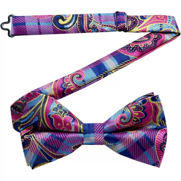 HISDERN Bow Ties for Men Paisley Floral Pre-tied Bowtie Pocket Square Set Men's Formal Bow Ties Wedding Party…
