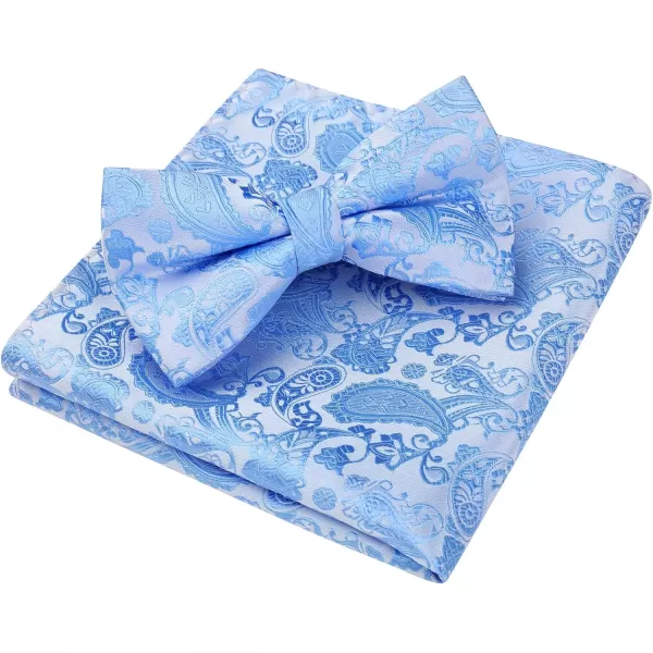 HISDERN Bow Ties for Men Paisley Floral Pre-tied Bowtie Pocket Square Set Men's Formal Bow Ties Wedding Party…