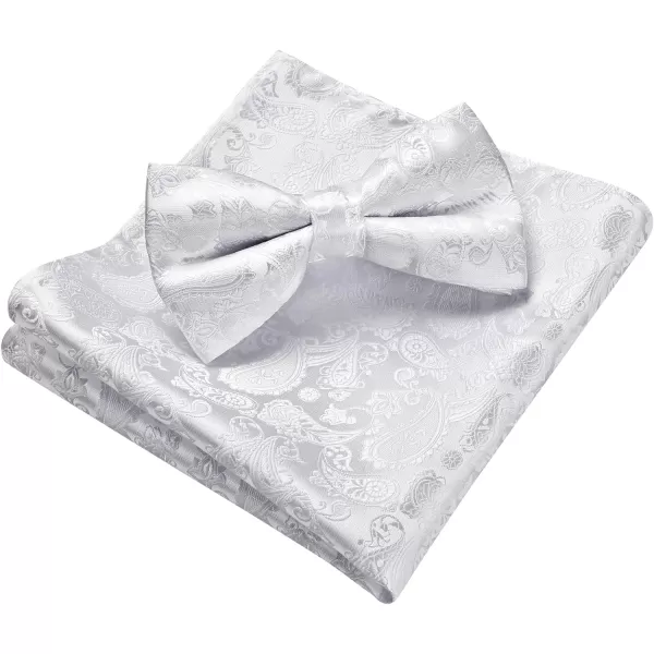 HISDERN Bow Ties for Men Paisley Floral Pre-tied Bowtie Pocket Square Set Men's Formal Bow Ties Wedding Party…