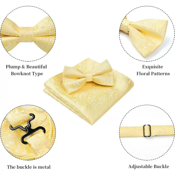 HISDERN Bow Ties for Men Paisley Floral Pre-tied Bowtie Pocket Square Set Men's Formal Bow Ties Wedding Party…