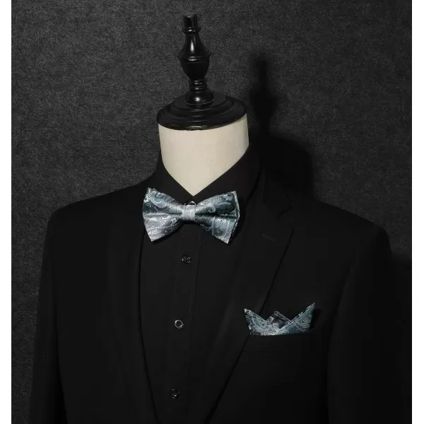 HISDERN Bow Ties for Men Paisley Floral Pre-tied Bowtie Pocket Square Set Men's Formal Bow Ties Wedding Party…