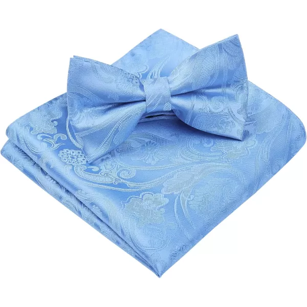 HISDERN Bow Ties for Men Paisley Floral Pre-tied Bowtie Pocket Square Set Men's Formal Bow Ties Wedding Party…
