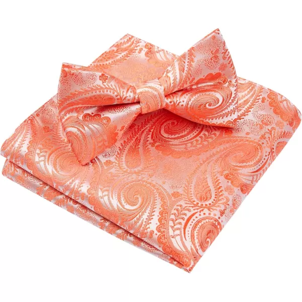 HISDERN Bow Ties for Men Paisley Floral Pre-tied Bowtie Pocket Square Set Men's Formal Bow Ties Wedding Party…
