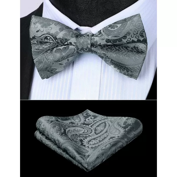 HISDERN Bow Ties for Men Paisley Floral Pre-tied Bowtie Pocket Square Set Men's Formal Bow Ties Wedding Party…