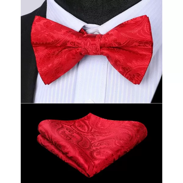 HISDERN Bow Ties for Men Paisley Floral Pre-tied Bowtie Pocket Square Set Men's Formal Bow Ties Wedding Party…
