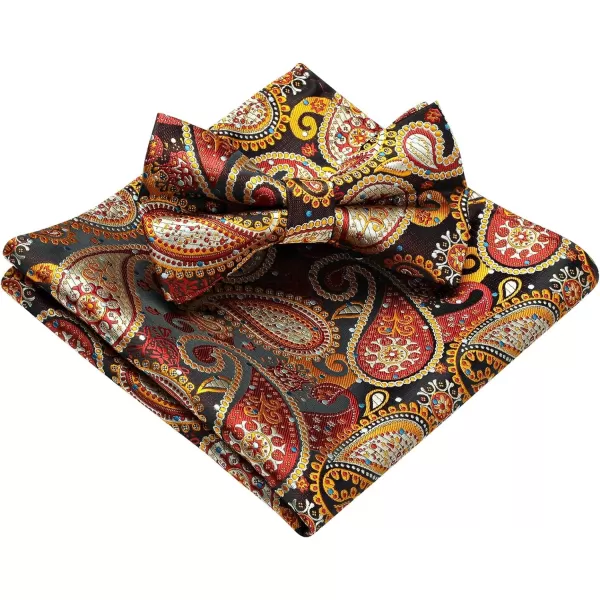 HISDERN Bow Ties for Men Paisley Floral Pre-tied Bowtie Pocket Square Set Men's Formal Bow Ties Wedding Party…