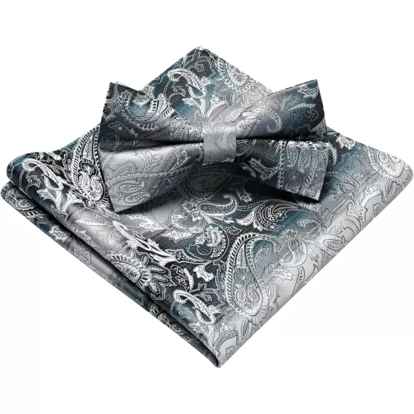 HISDERN Bow Ties for Men Paisley Floral Pre-tied Bowtie Pocket Square Set Men's Formal Bow Ties Wedding Party…