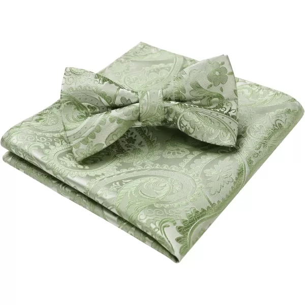 HISDERN Bow Ties for Men Paisley Floral Pre-tied Bowtie Pocket Square Set Men's Formal Bow Ties Wedding Party…