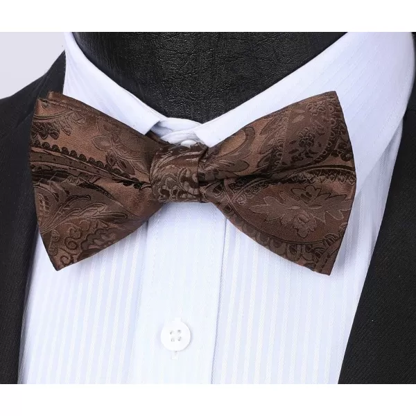HISDERN Bow Ties for Men Paisley Floral Pre-tied Bowtie Pocket Square Set Men's Formal Bow Ties Wedding Party…