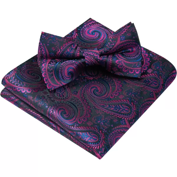 HISDERN Bow Ties for Men Paisley Floral Pre-tied Bowtie Pocket Square Set Men's Formal Bow Ties Wedding Party…