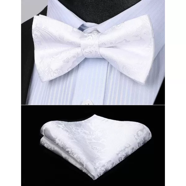 HISDERN Bow Ties for Men Paisley Floral Pre-tied Bowtie Pocket Square Set Men's Formal Bow Ties Wedding Party…