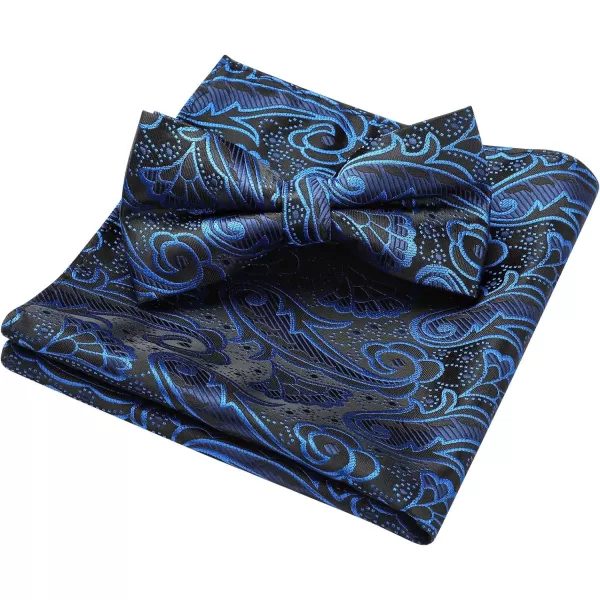 HISDERN Bow Ties for Men Paisley Floral Pre-tied Bowtie Pocket Square Set Men's Formal Bow Ties Wedding Party…