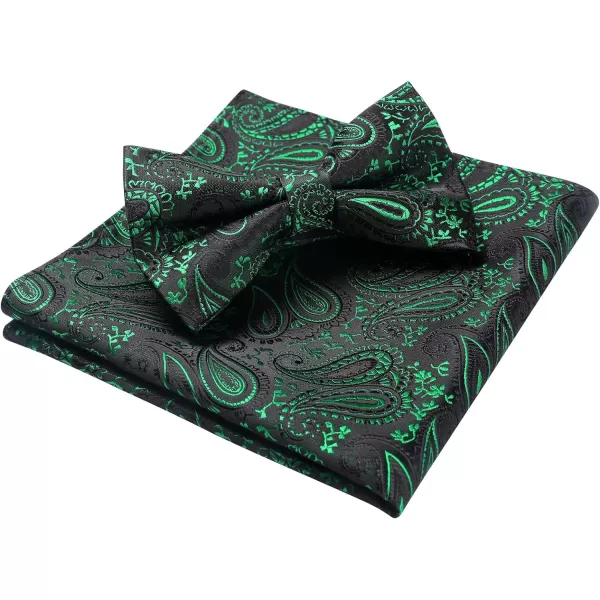HISDERN Bow Ties for Men Paisley Floral Pre-tied Bowtie Pocket Square Set Men's Formal Bow Ties Wedding Party…